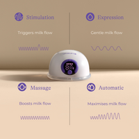 Double Wearable Pump