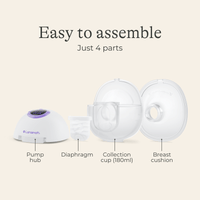 Double Wearable Pump