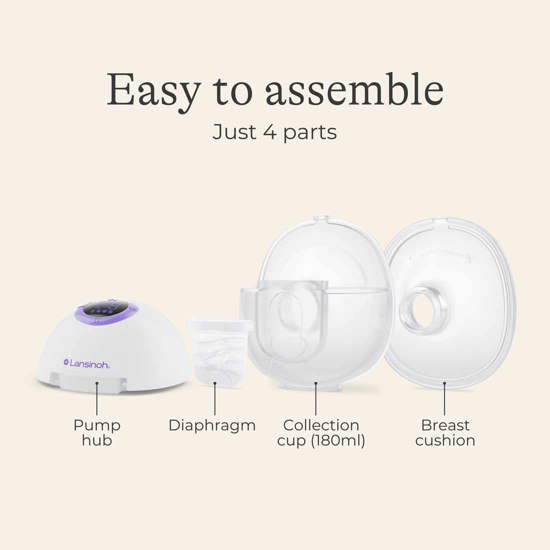 Double Wearable Pump
